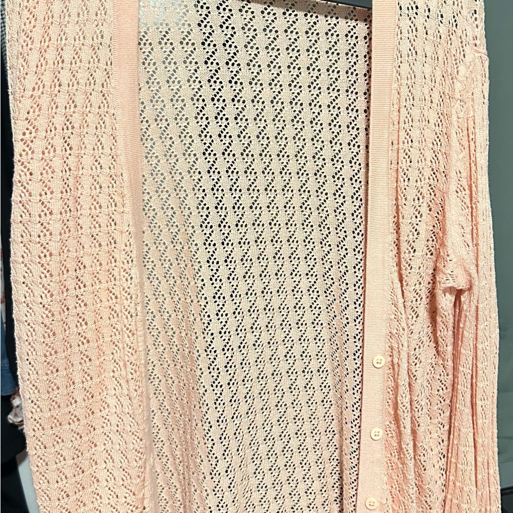 SD Collection Blush Lace Long Sleeve Dress